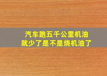 汽车跑五千公里机油就少了是不是烧机油了