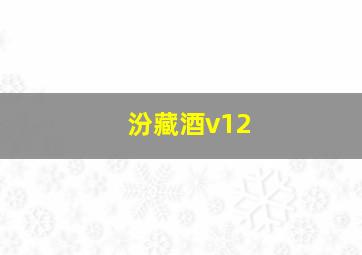 汾藏酒v12