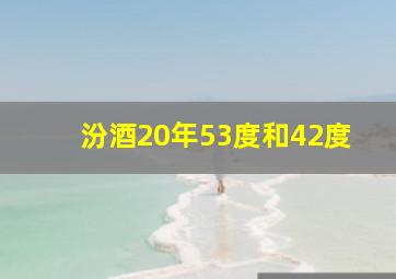 汾酒20年53度和42度