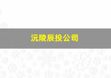 沅陵辰投公司