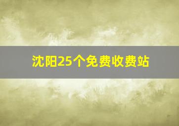 沈阳25个免费收费站