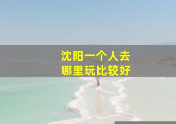 沈阳一个人去哪里玩比较好