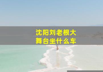 沈阳刘老根大舞台坐什么车