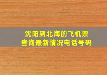 沈阳到北海的飞机票查询最新情况电话号码