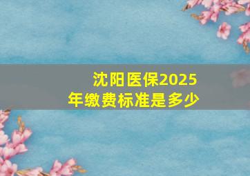 沈阳医保2025年缴费标准是多少