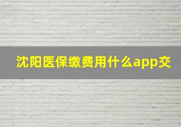 沈阳医保缴费用什么app交