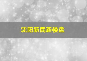 沈阳新民新楼盘