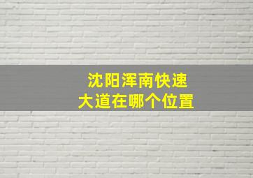 沈阳浑南快速大道在哪个位置