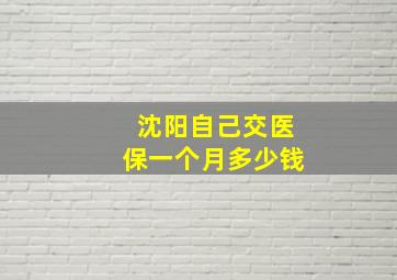 沈阳自己交医保一个月多少钱