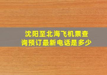 沈阳至北海飞机票查询预订最新电话是多少