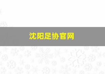 沈阳足协官网