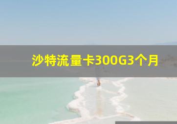 沙特流量卡300G3个月