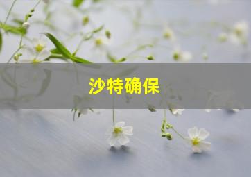 沙特确保