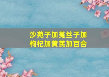 沙苑子加菟丝子加枸杞加黄芪加百合