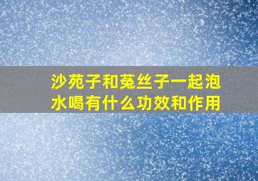 沙苑子和菟丝子一起泡水喝有什么功效和作用