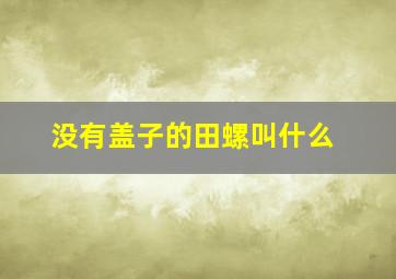 没有盖子的田螺叫什么