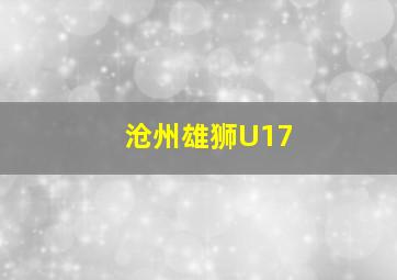 沧州雄狮U17