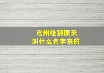 沧州雄狮原来叫什么名字来的