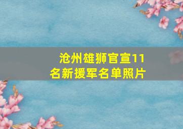 沧州雄狮官宣11名新援军名单照片