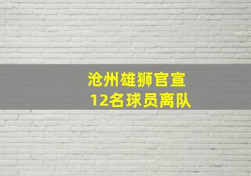 沧州雄狮官宣12名球员离队