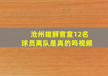 沧州雄狮官宣12名球员离队是真的吗视频