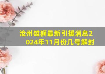 沧州雄狮最新引援消息2024年11月份几号解封