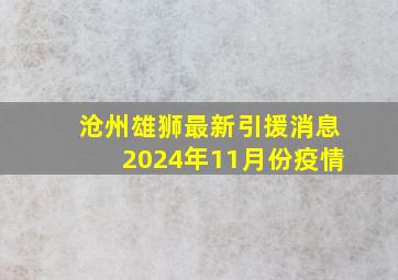 沧州雄狮最新引援消息2024年11月份疫情