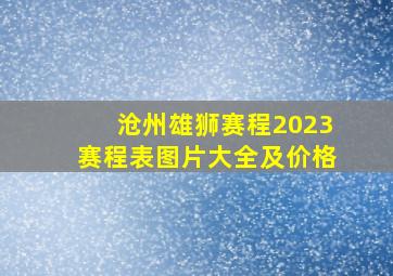 沧州雄狮赛程2023赛程表图片大全及价格