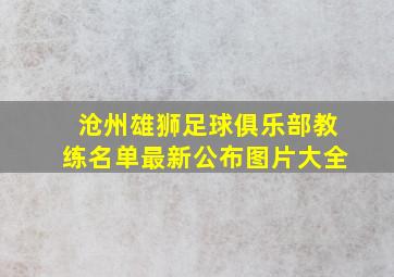 沧州雄狮足球俱乐部教练名单最新公布图片大全