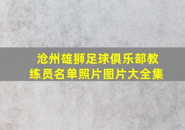 沧州雄狮足球俱乐部教练员名单照片图片大全集