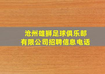 沧州雄狮足球俱乐部有限公司招聘信息电话