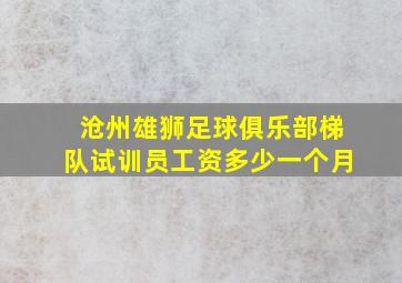 沧州雄狮足球俱乐部梯队试训员工资多少一个月