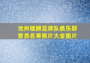 沧州雄狮足球队俱乐部官员名单照片大全图片