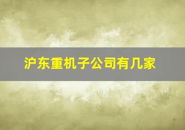 沪东重机子公司有几家