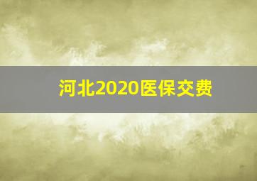 河北2020医保交费