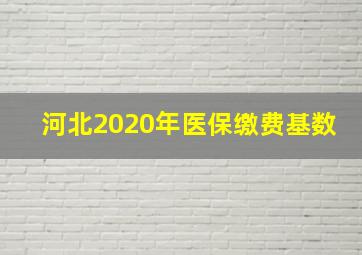 河北2020年医保缴费基数