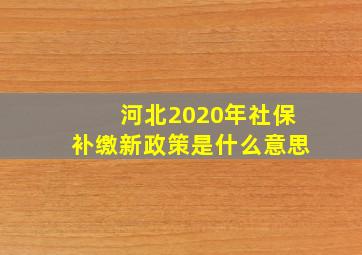 河北2020年社保补缴新政策是什么意思