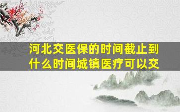 河北交医保的时间截止到什么时间城镇医疗可以交