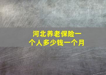 河北养老保险一个人多少钱一个月