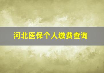 河北医保个人缴费查询