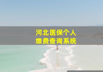 河北医保个人缴费查询系统