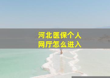 河北医保个人网厅怎么进入