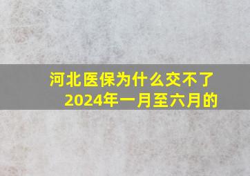 河北医保为什么交不了2024年一月至六月的