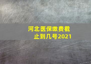 河北医保缴费截止到几号2021