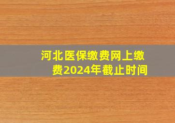 河北医保缴费网上缴费2024年截止时间