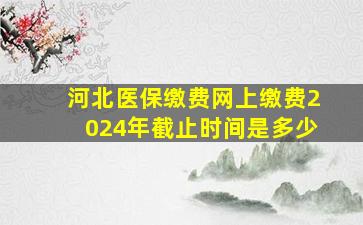 河北医保缴费网上缴费2024年截止时间是多少