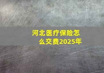 河北医疗保险怎么交费2025年