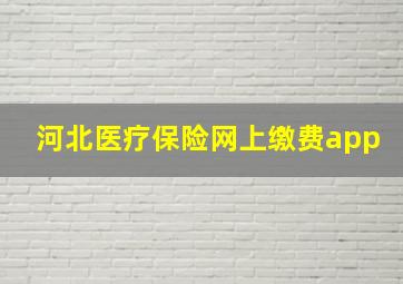 河北医疗保险网上缴费app