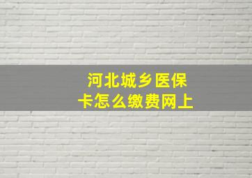 河北城乡医保卡怎么缴费网上