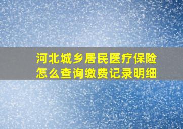 河北城乡居民医疗保险怎么查询缴费记录明细